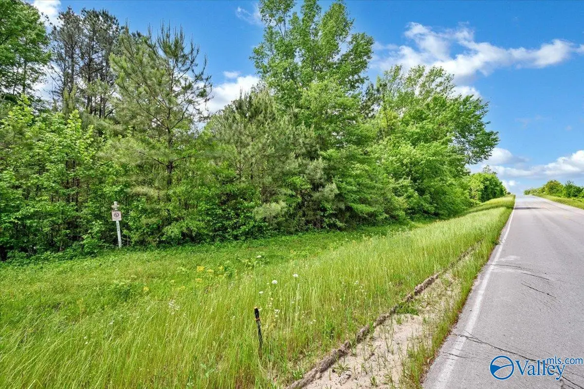 Lot 1 East Lacon Road, Falkville, AL 35622 - #1