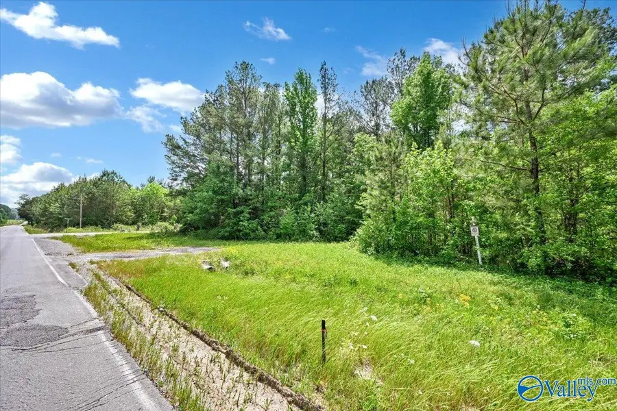 Lot 1 East Lacon Road, Falkville, AL 35622 - #2