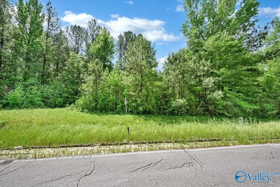 Lot 1 East Lacon Road, Falkville, AL 35622 - #3