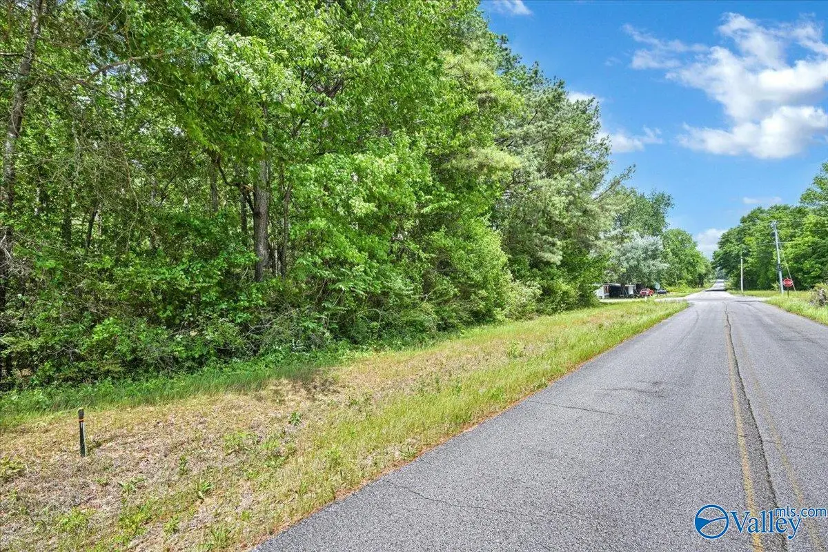Lot 2 East Lacon Road, Falkville, AL 35622 - #1