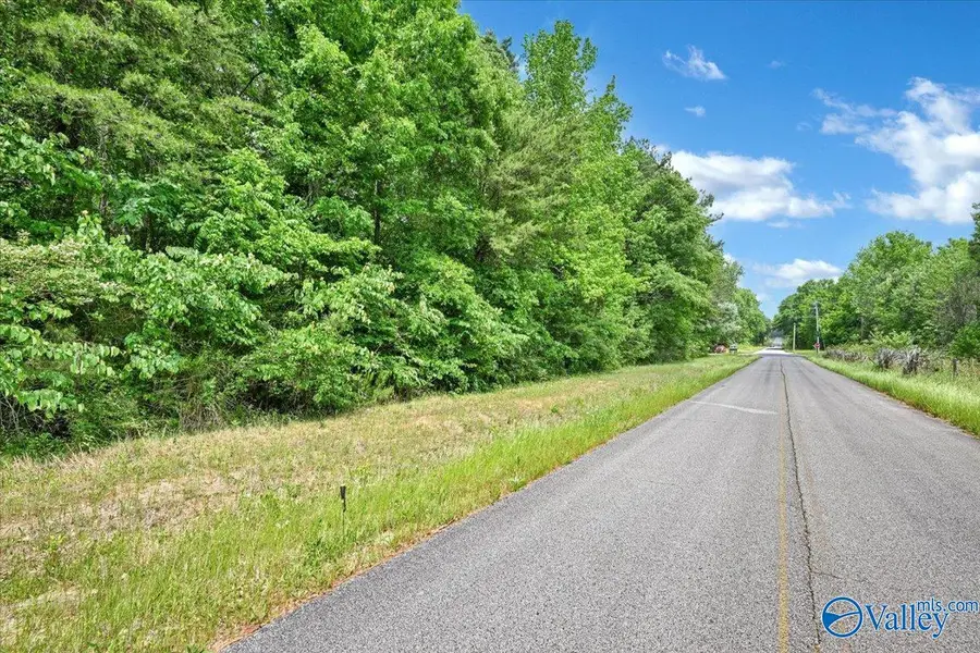 Lot 3 Mill Creek Road, Falkville, AL 35622 - #2