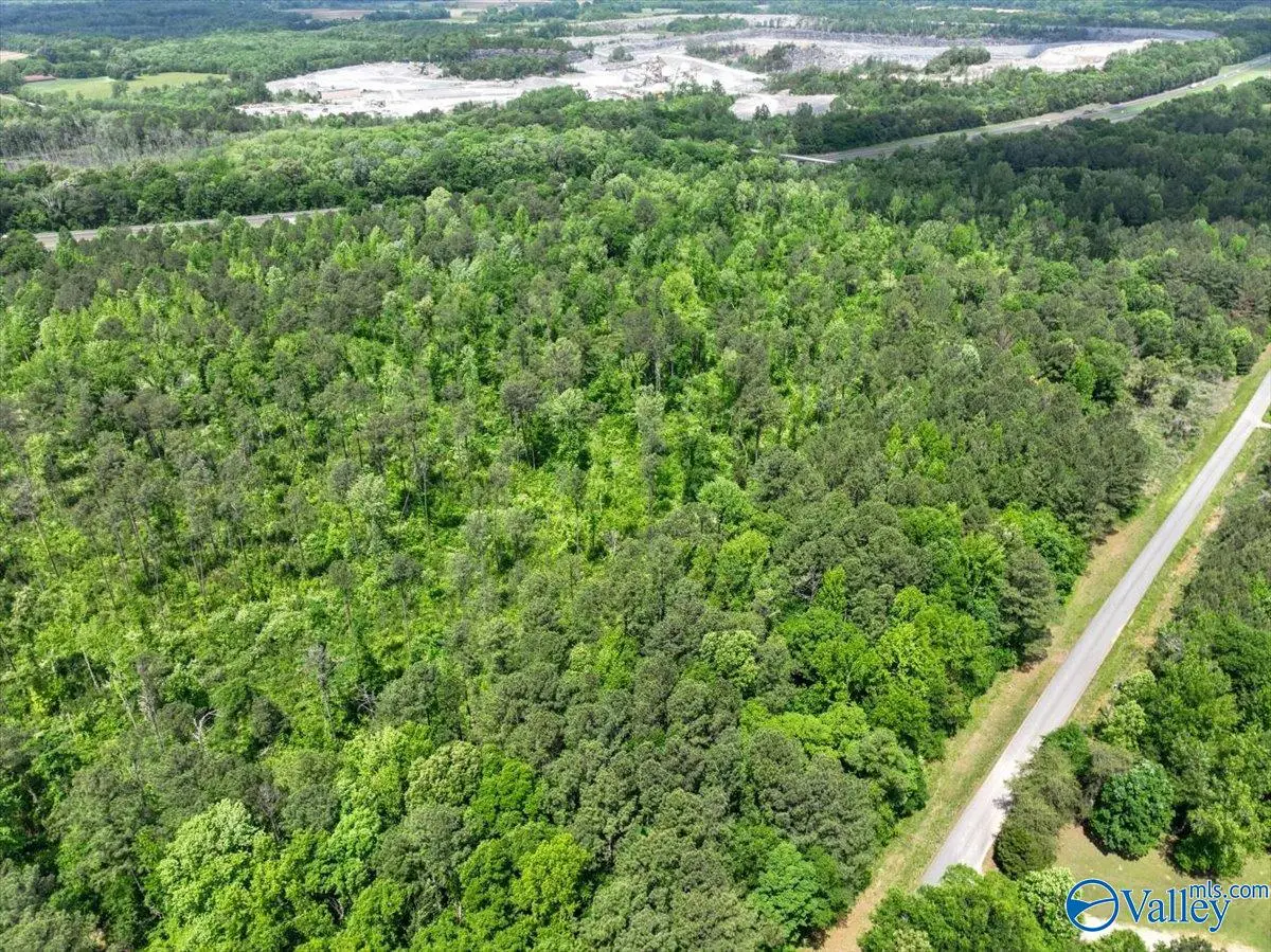 Lot 4 Mill Creek Road, Falkville, AL 35622 - #1