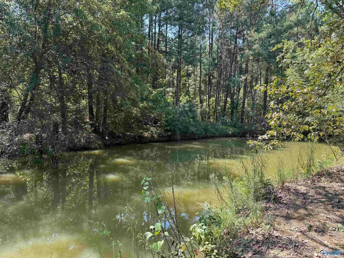 LOT 9 County Road 450 #9, Centre, AL 35960 - #1