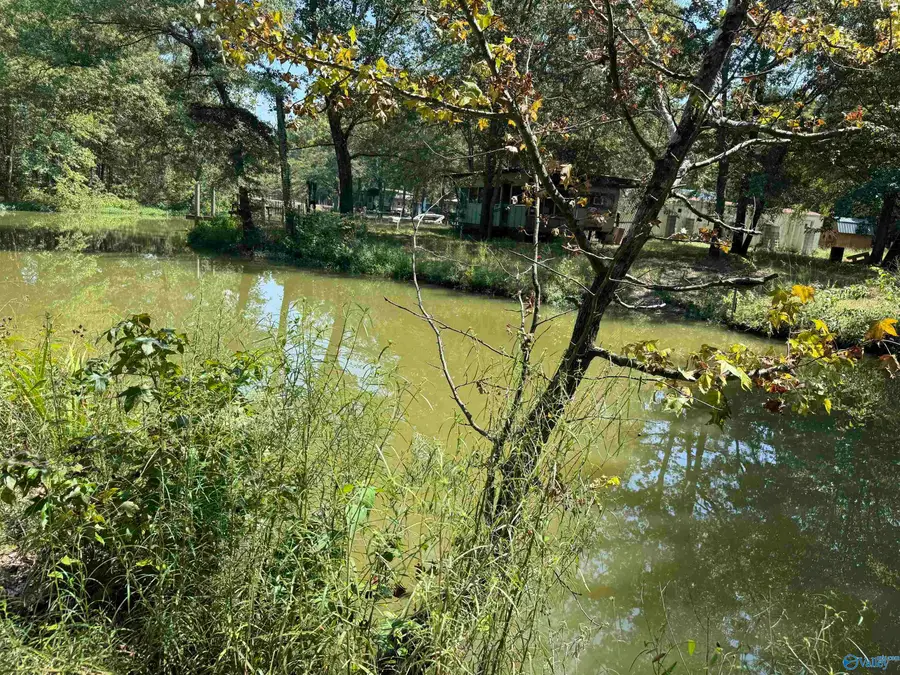 LOT 9 County Road 450 #9, Centre, AL 35960 - #2