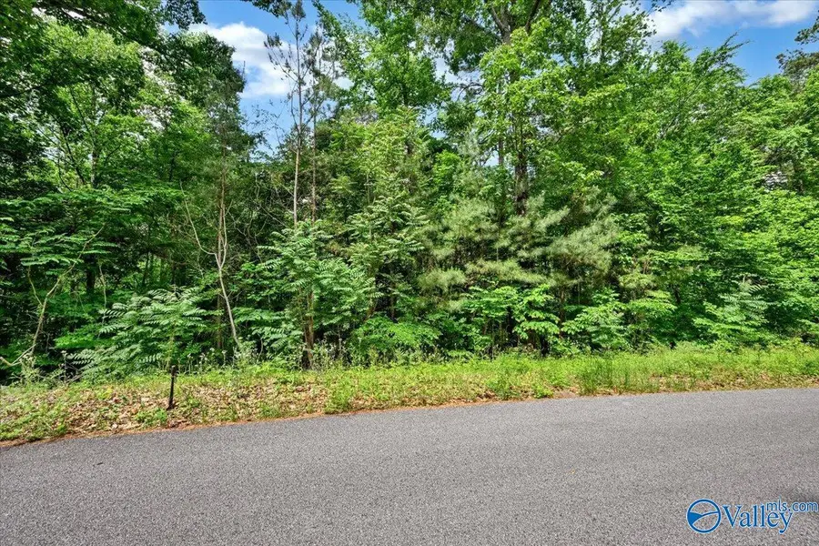 Lot 11 Mill Creek Road, Falkville, AL 35622 - #3