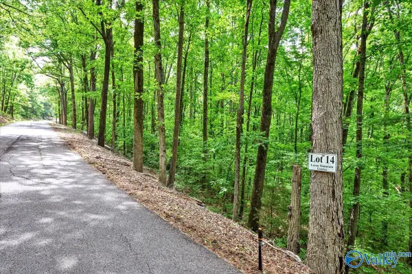Lot 14 Mill Creek Road, Falkville, AL 35622