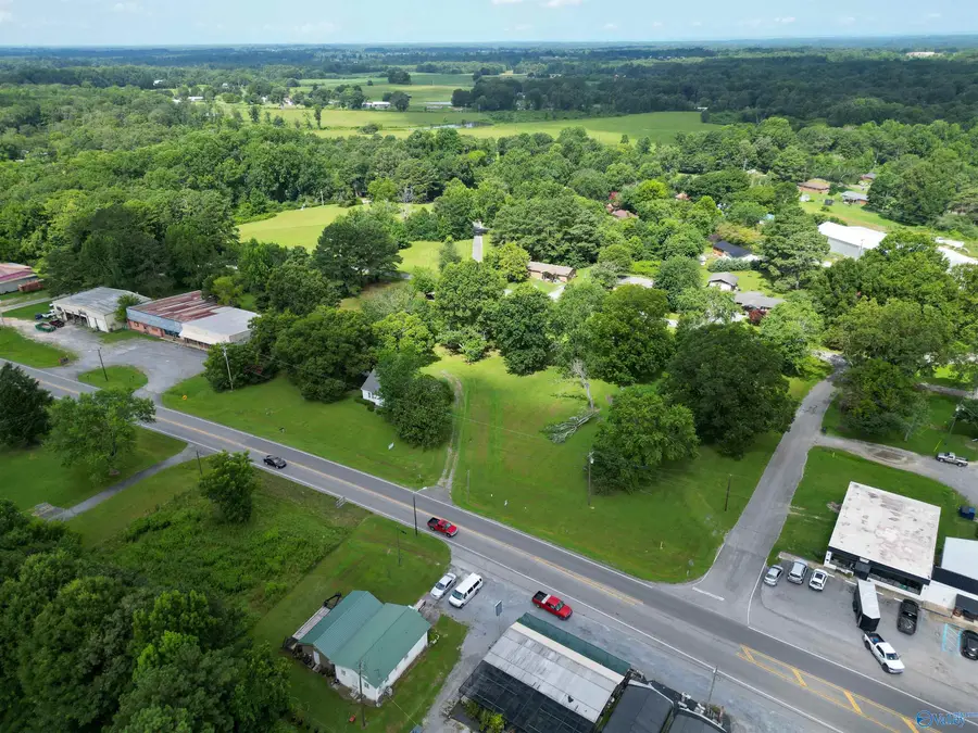 17966 S Hwy 75, Henagar, AL 35978 - #2