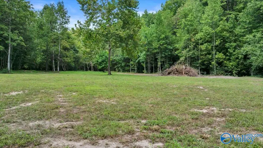 98+/- County Road 209, Collinsville, AL 35961 - #2