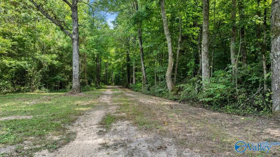 98+/- County Road 209, Collinsville, AL 35961 - #3