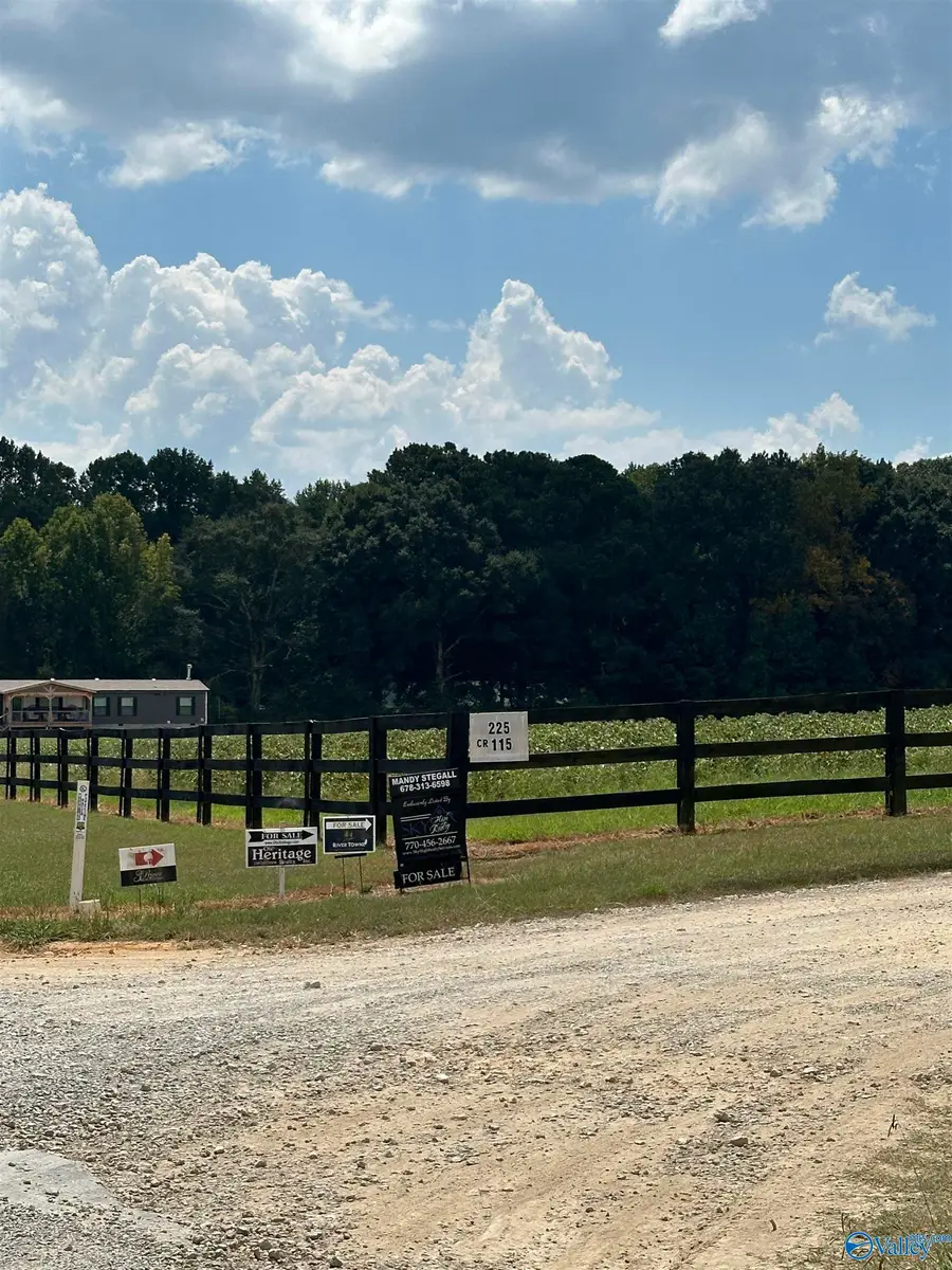 225 County Road 115 #68 & 69, Cedar Bluff, AL 35959 - #3