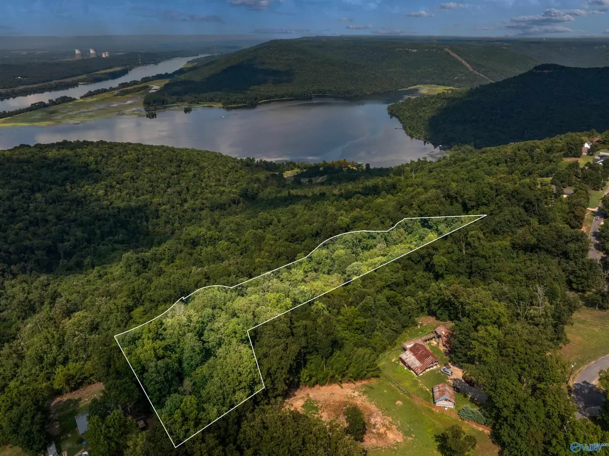 1.07 acres County Road 223, Dutton, AL 35744 - #1