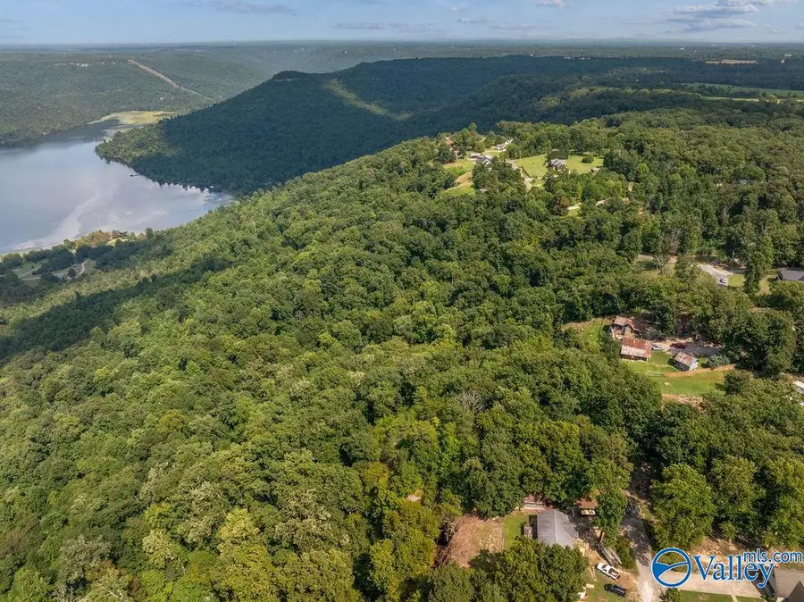 1.07 acres County Road 223, Dutton, AL 35744 - #2