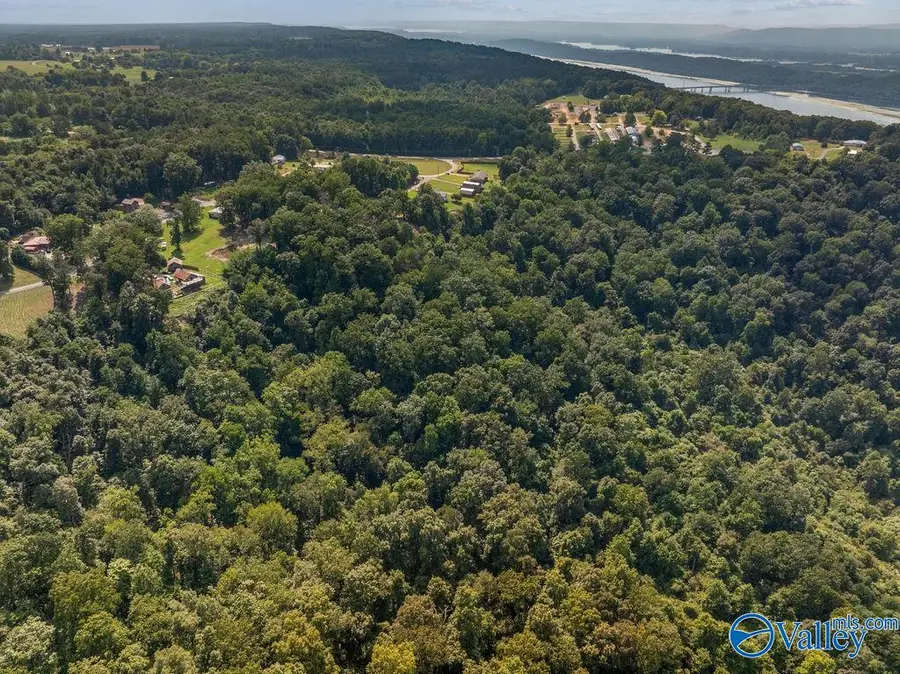1.07 acres County Road 223, Dutton, AL 35744 - #3