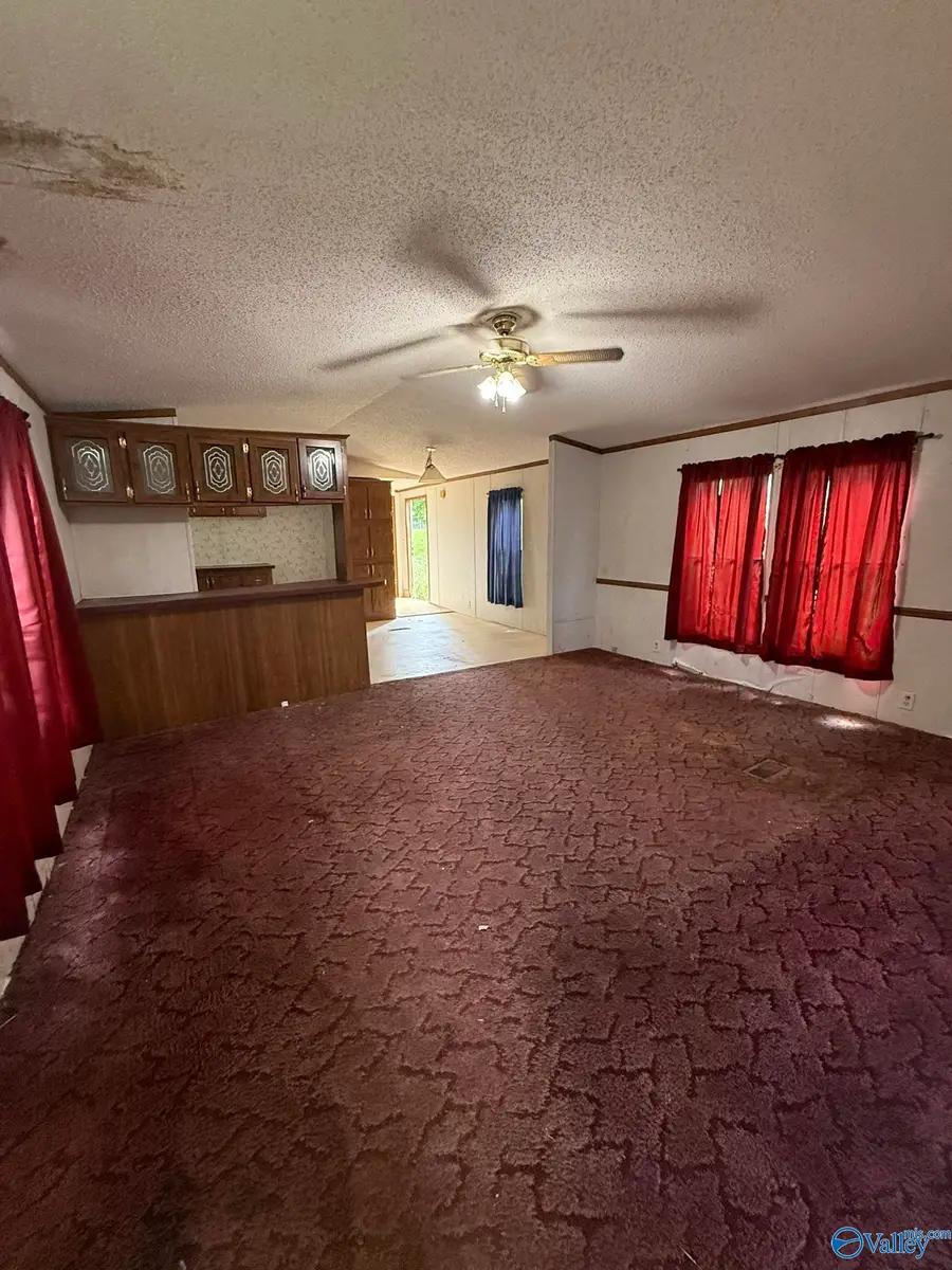 3237 County Road 14, Flat Rock, AL 35966 - #2