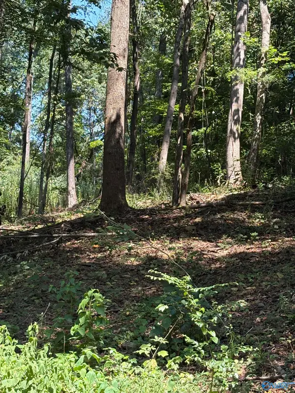 Lot 155 Sgt Holden Lane, Athens, AL 35614