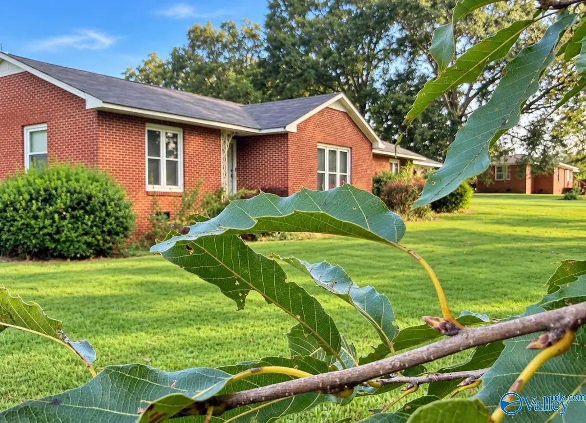 17169 County Road 460, Moulton, AL 35650 - #1