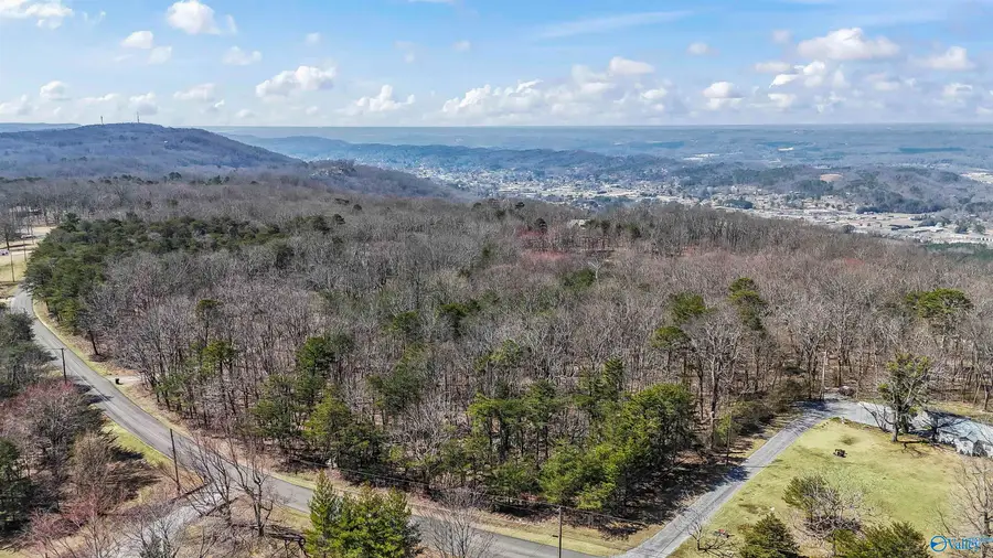 3180 4.93 acers Citadel Rock Road, Fort Payne, AL 35967 - #2