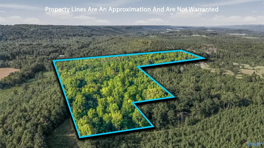 518 County Road 288, Collinsville, AL 35961 - #3