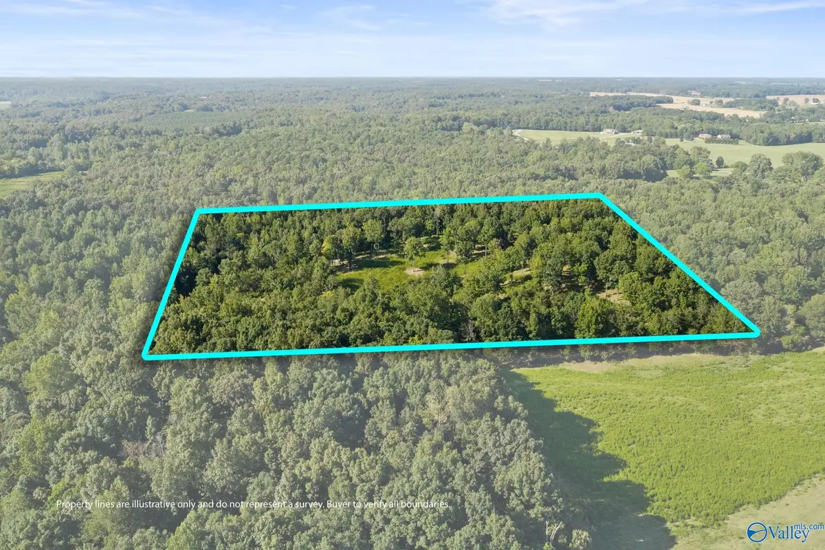 1485 County Road 485, Lexington, AL 35648 - #1