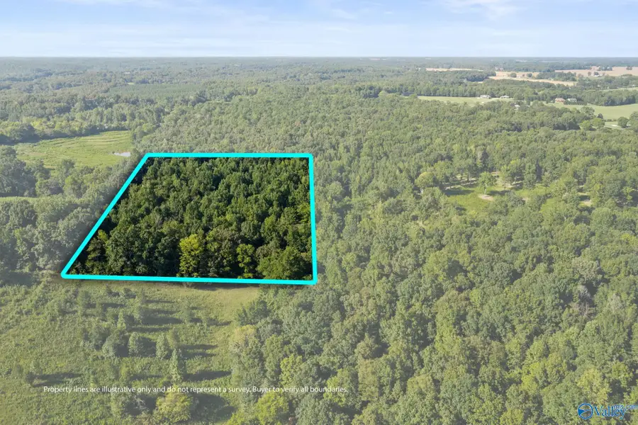 1485 County Road 485, Lexington, AL 35648 - #2