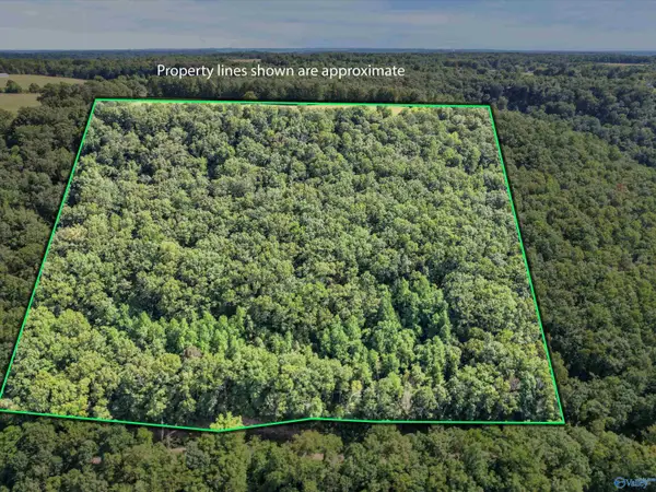 15 Shin Point Road, New Hope, AL 35760