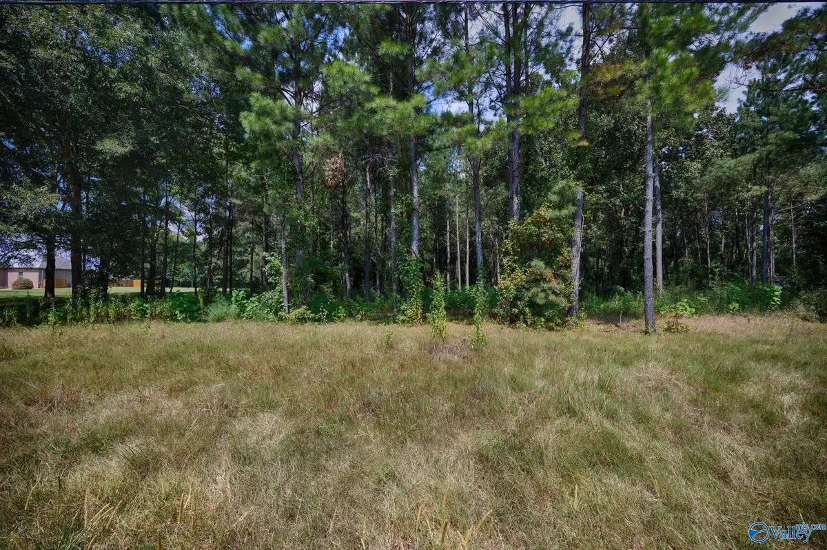 3 acres Bick-jock Road, Elkmont, AL 35620 - #1