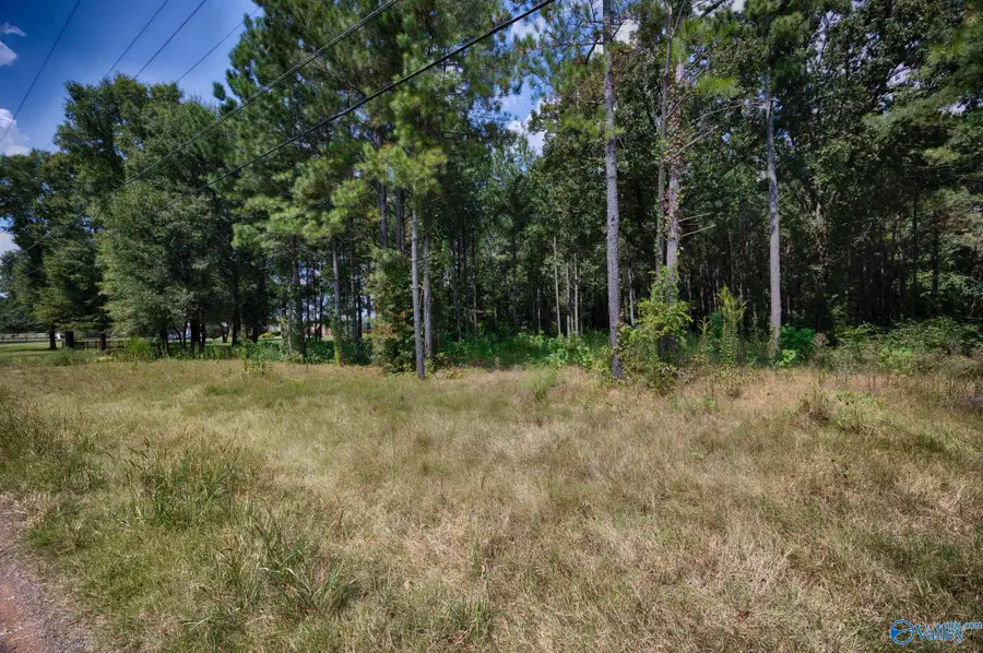 3 acres Bick-jock Road, Elkmont, AL 35620 - #2