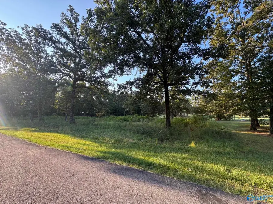 Lot 7 County Road 380, Centre, AL 35960 - #2