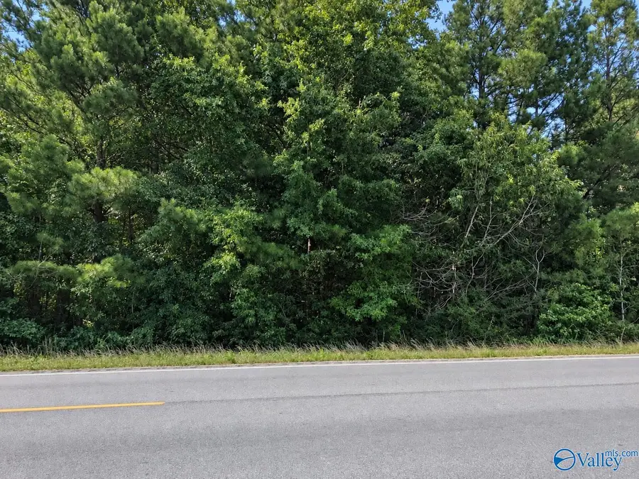 Tract 18 Cedar Bluff Road, Centre, AL 35960 - #3