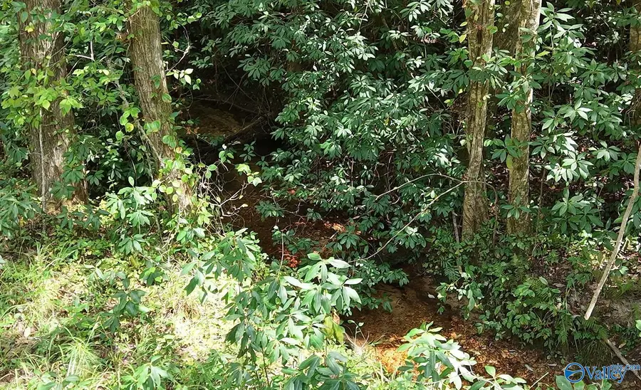 237 Marion Stough Road, Fayette, AL 35555 - #3