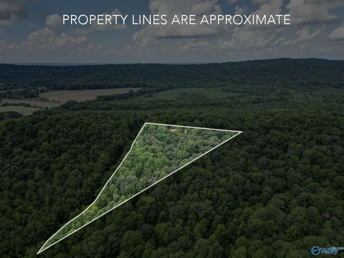 1841 Bud Umphrey Road, Bristow Cove, AL 35952 - #1