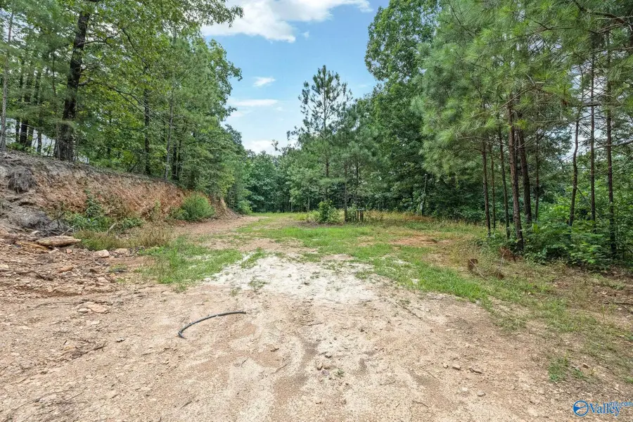 1841 Bud Umphrey Road, Bristow Cove, AL 35952 - #2