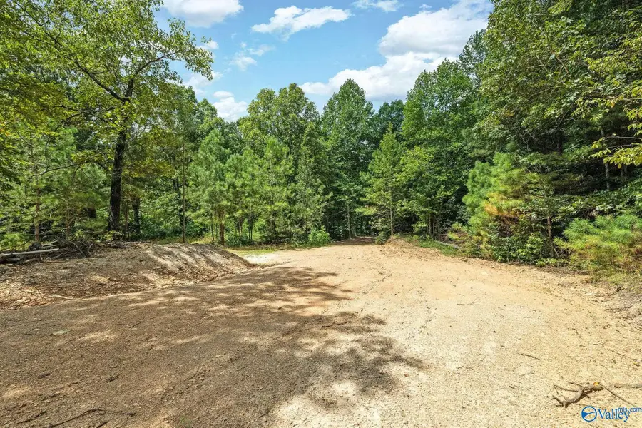 1841 Bud Umphrey Road, Bristow Cove, AL 35952 - #3