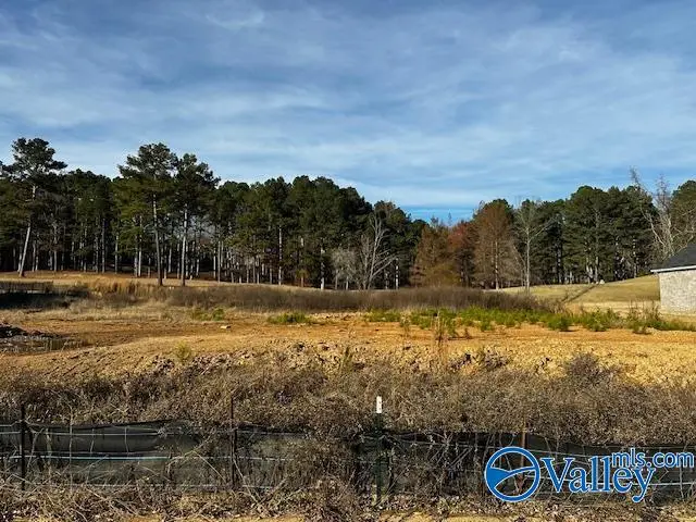 1316 Cherokee Ridge Drive, Cherokee Ridge, AL 35175 - #1