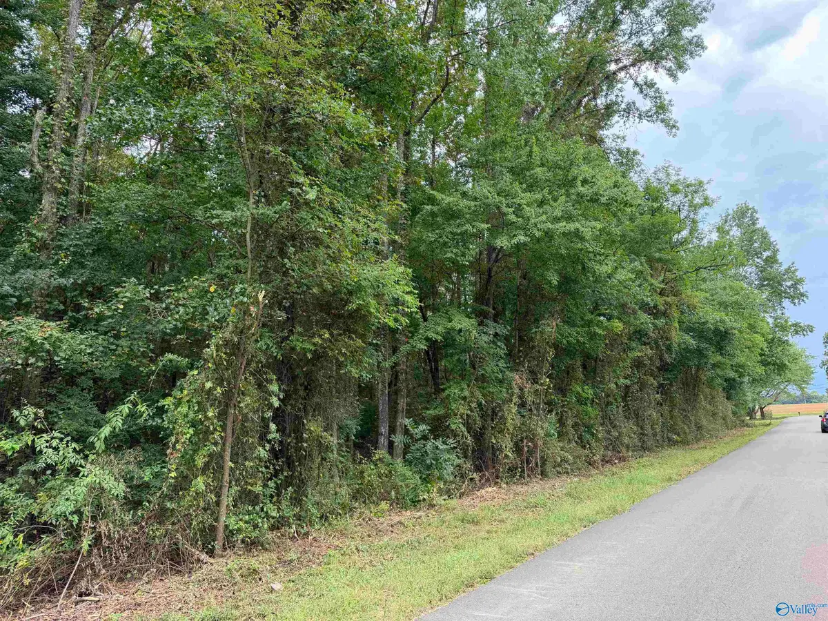 Lot 23 Townsend Road, Hazel Green, AL 35750 - #1