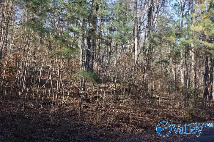 404 Tomahawk Circle, Guntersville, AL 35976 - #3