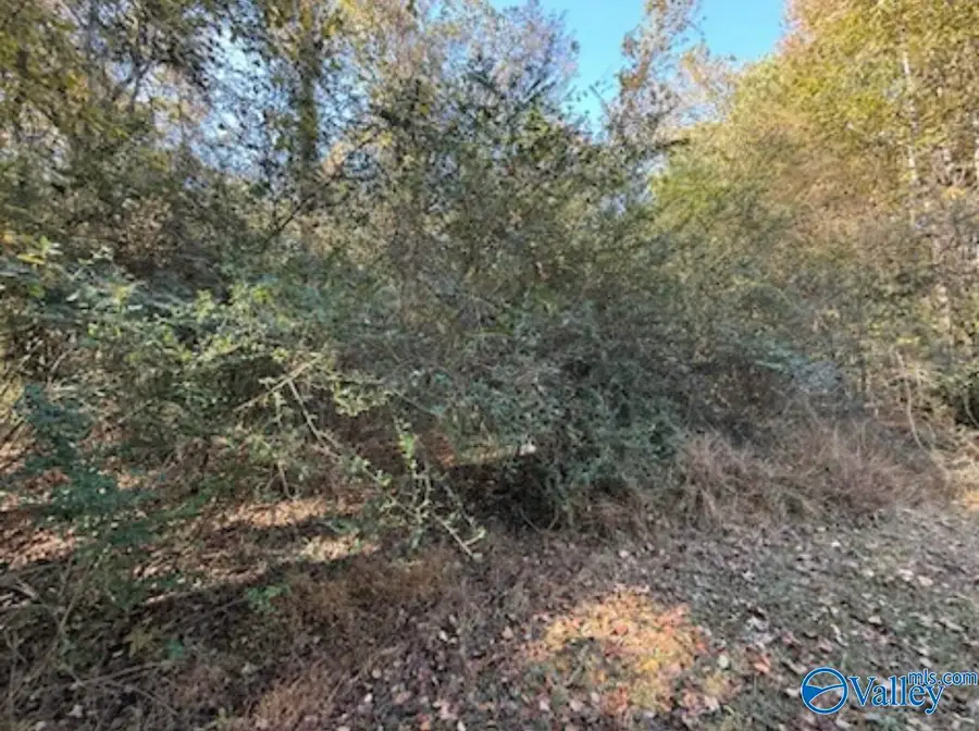 .3 acre lot Hine Street South, Athens, AL 35611 - #2