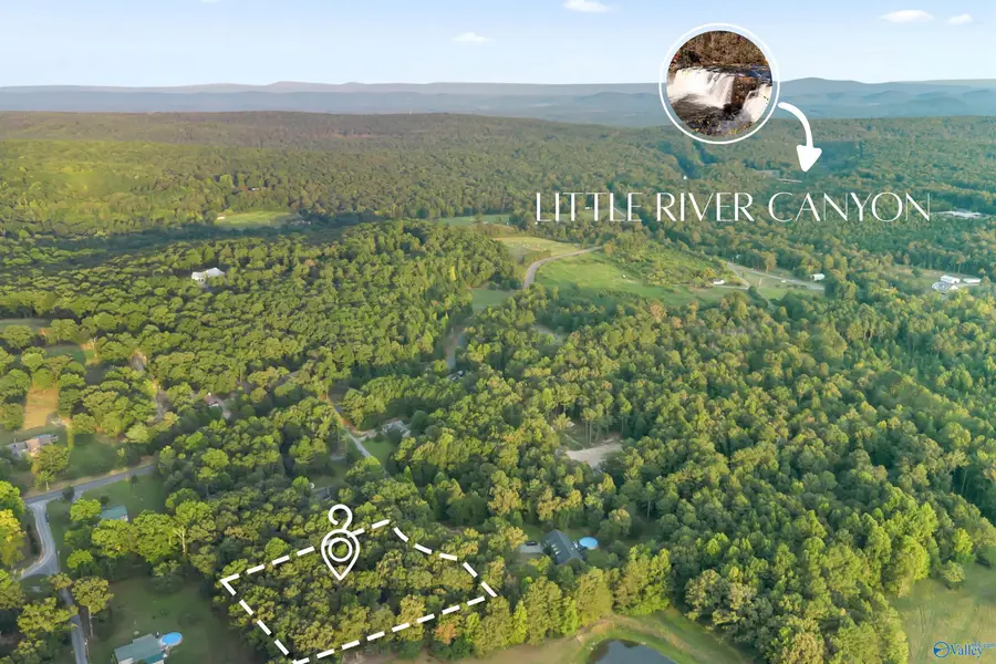 106 County Road 1917, Fort Payne, AL 35967 - #2