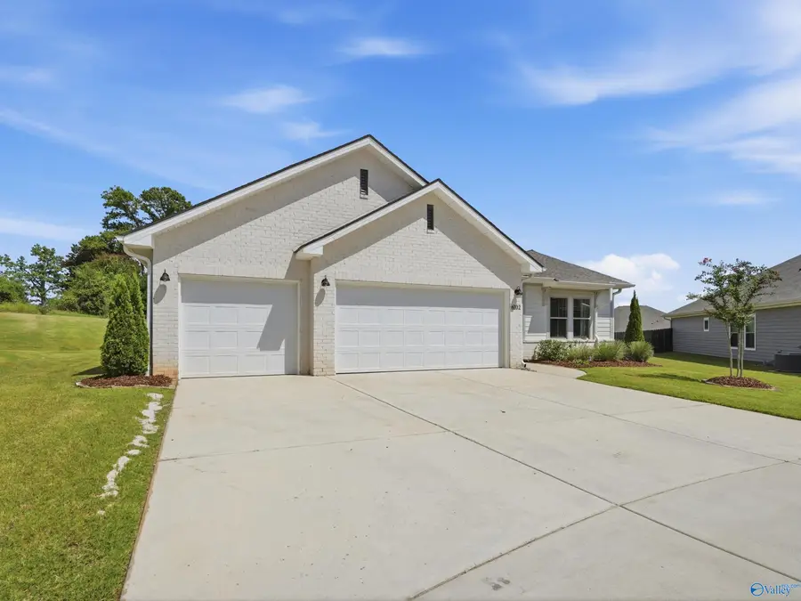 6102 Margie Collins Drive, Owens Cross Roads, AL 35763 - #3