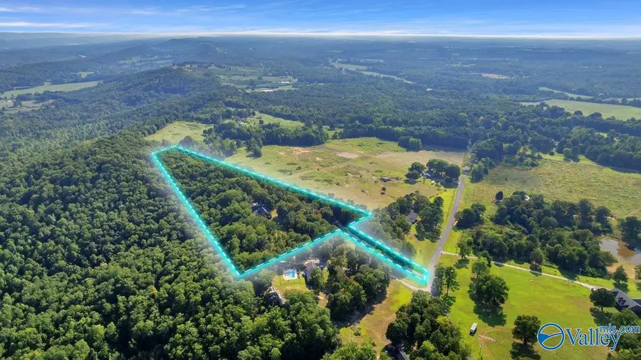 1249 County Road 120, Valley Head, AL 35989 - #2