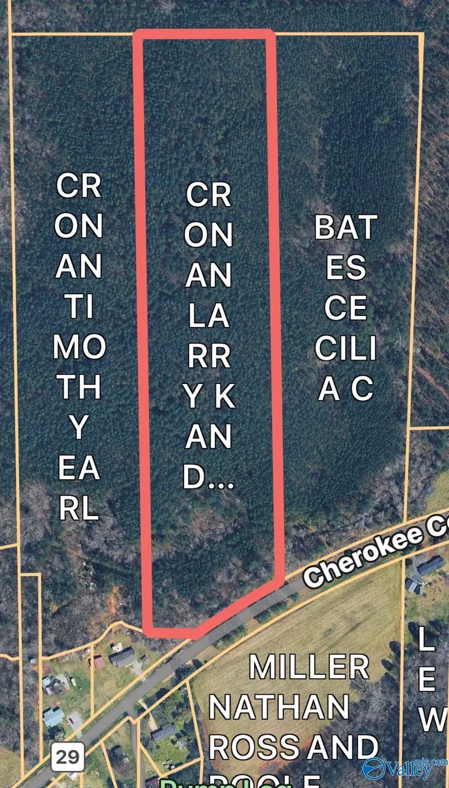 19.51 County Road 29, Piedmont, AL 36272 - #3