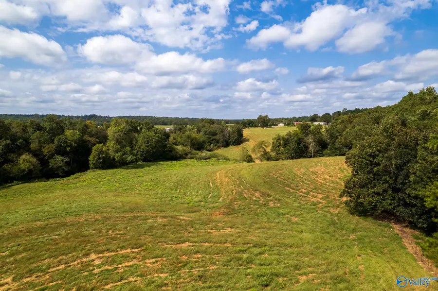 23 ACRES Horton Road, Horton, AL 35980 - #2