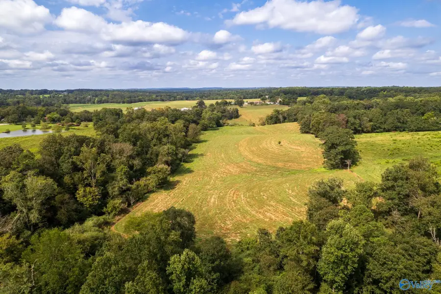 23 ACRES Horton Road, Horton, AL 35980 - #3