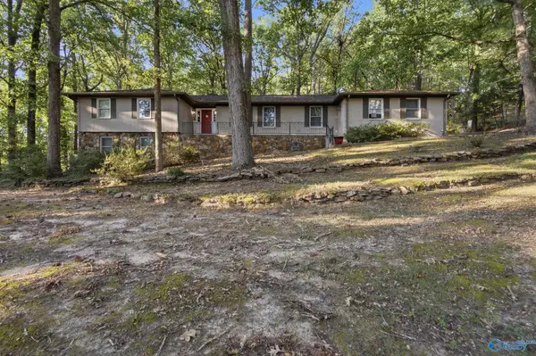 2806 Burningtree Mountain Road Se, Decatur, AL 35603