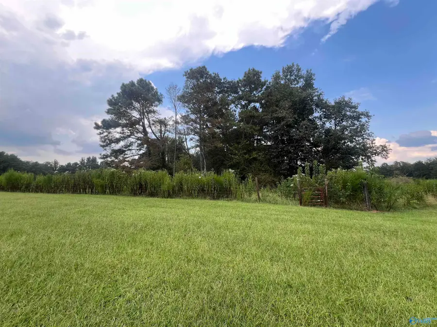 731 Williamsburg Road, Altoona, AL 35952 - #2