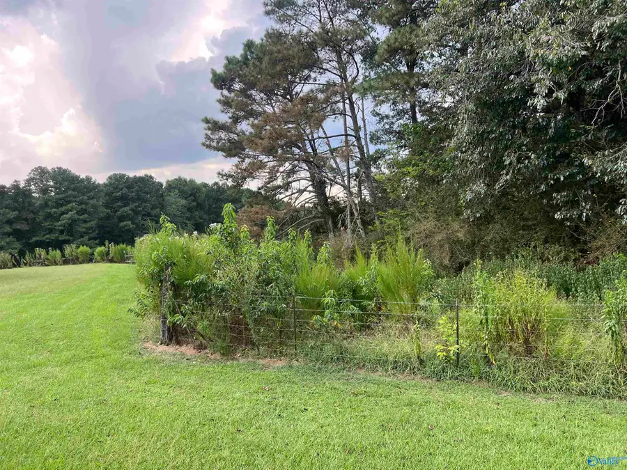 731 Williamsburg Road, Altoona, AL 35952 - #3