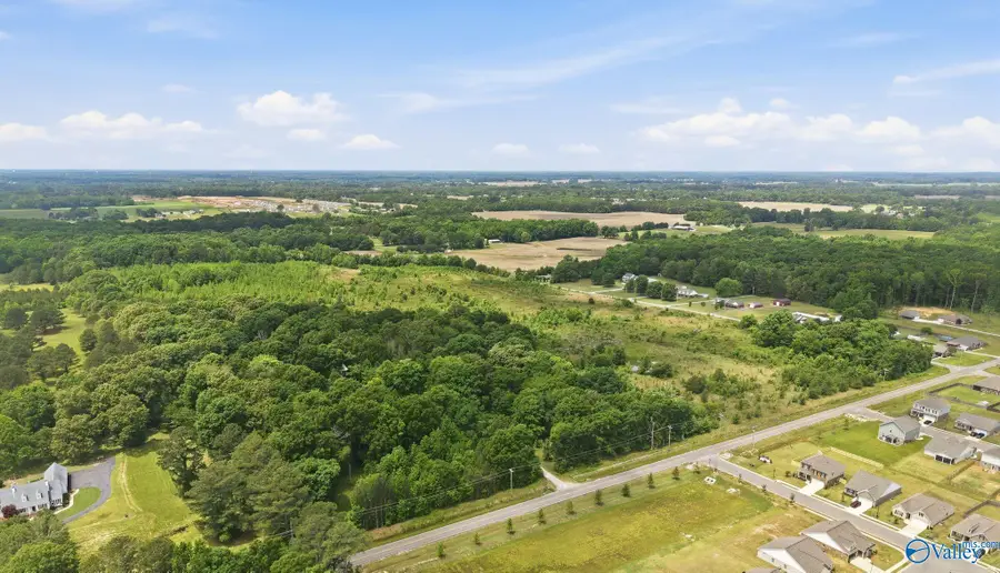 18285 Wells Road, Athens, AL 35613 - #2