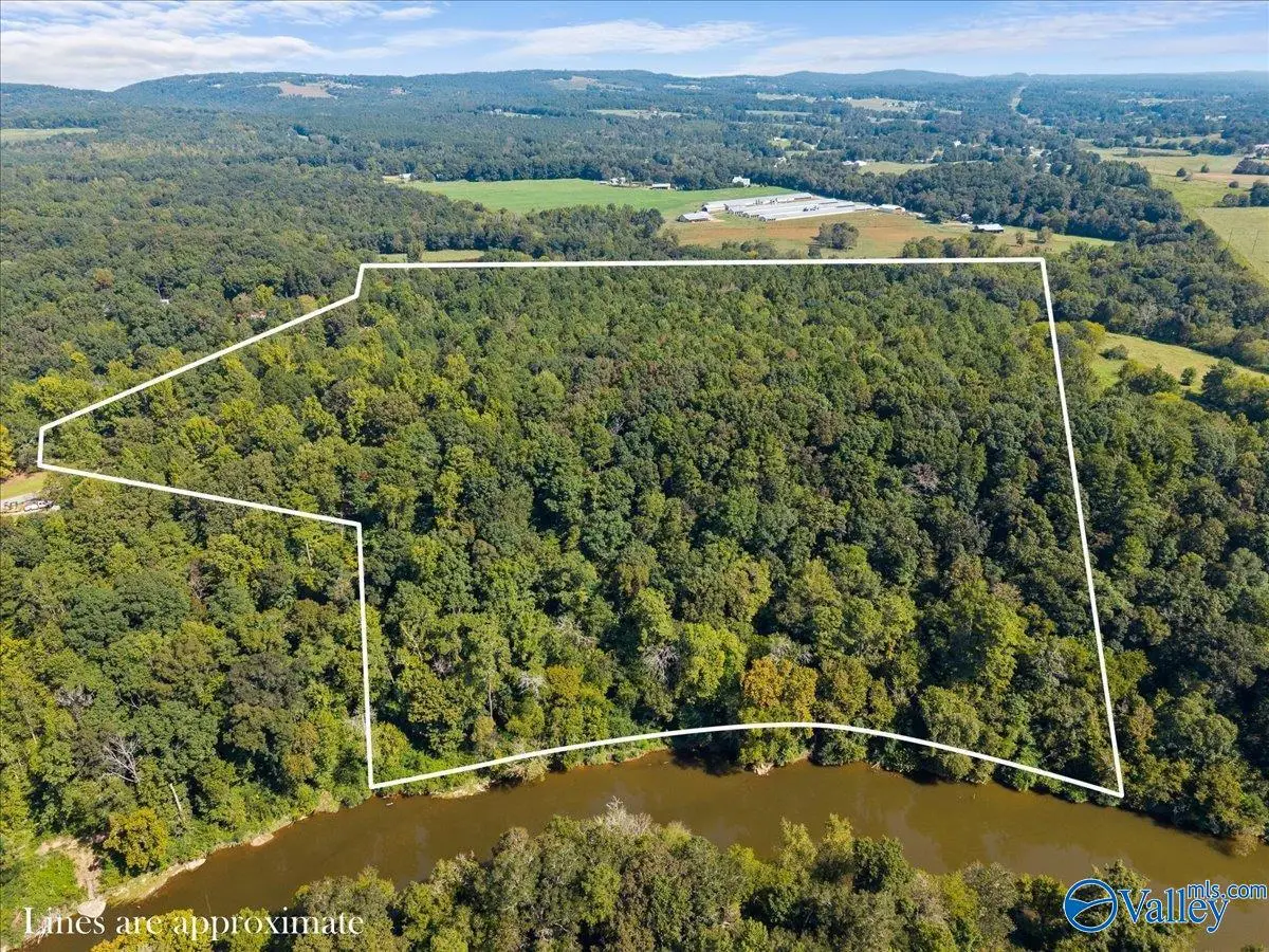 22.5 acres River Bend Circle, Nectar, AL 35079 - #1