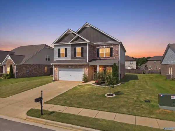 134 Morning Dew Road, Toney, AL 35773