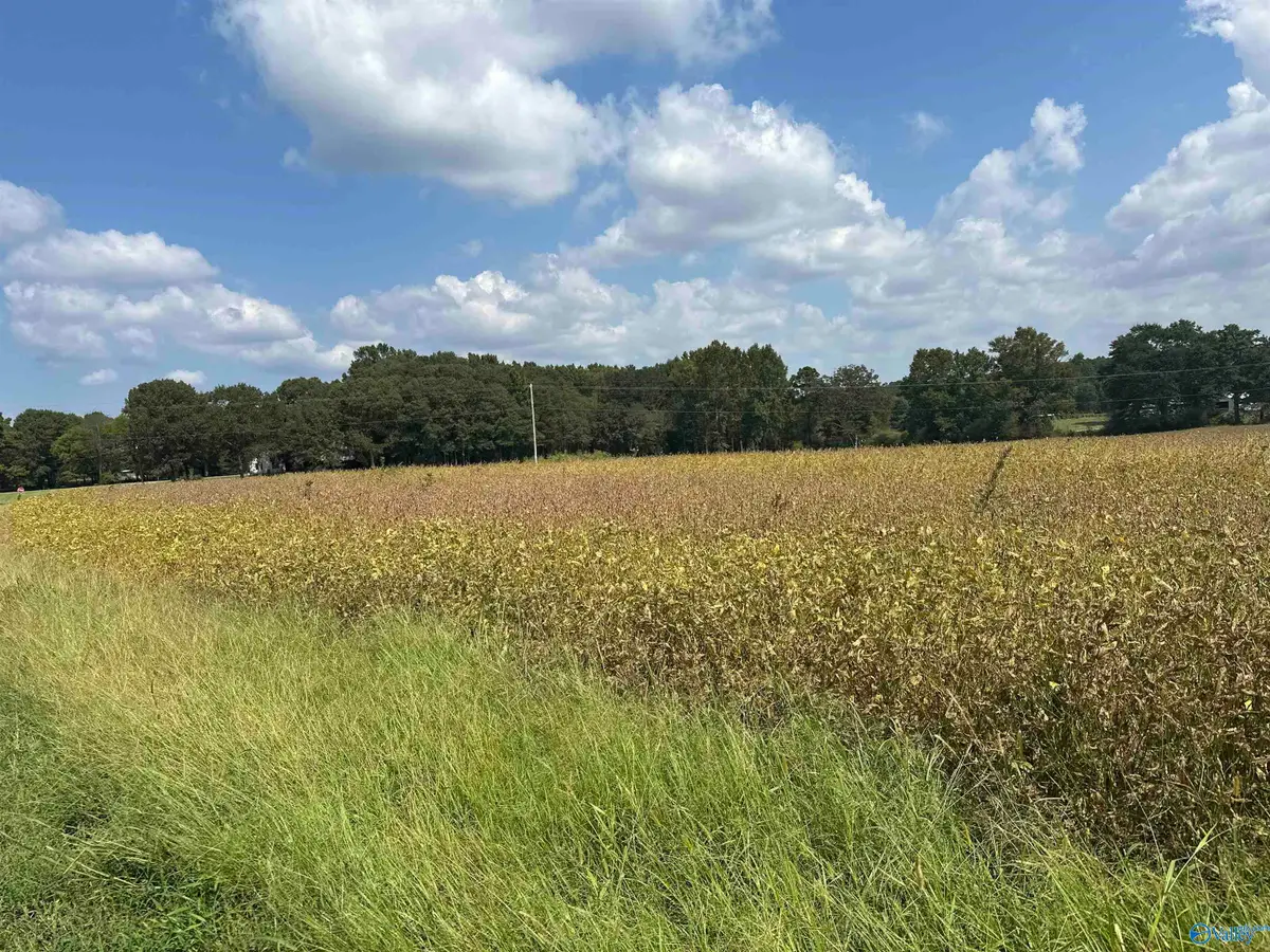 1929 North Carlisle Street, Albertville, AL 35951 - #1